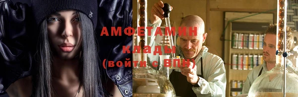 прущие грибы Наволоки