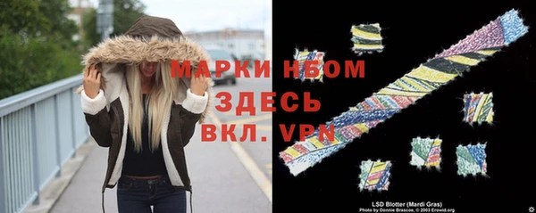 ГАЛЛЮЦИНОГЕННЫЕ ГРИБЫ Дмитров