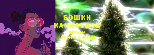 молекула духа Дмитриев