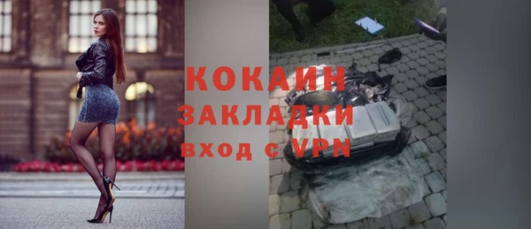 молекула духа Дмитриев