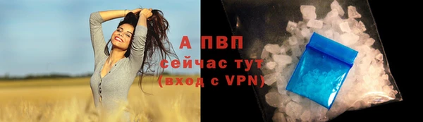 молекула духа Дмитриев