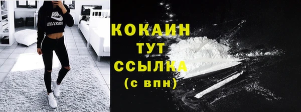 молекула духа Дмитриев